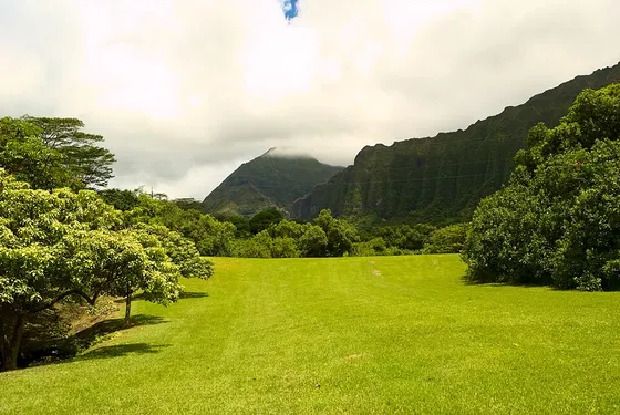 A green lawn and trees beneath the mountains at Hoʻomaluhia Botanical Garden.